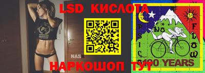 прущие крисы Кунгур
