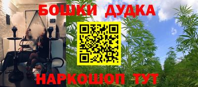 ПСИЛОЦИБИНОВЫЕ ГРИБЫ Кулебаки