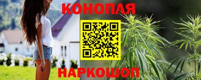 прущие крисы Кунгур