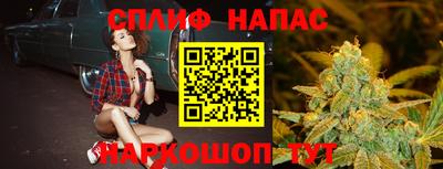 гашик Краснодар