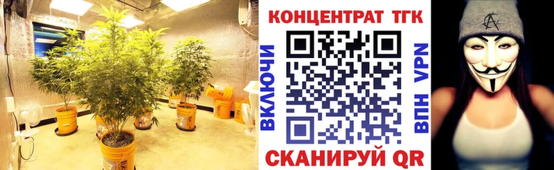Дистиллят ТГК Wax  Ижевск 