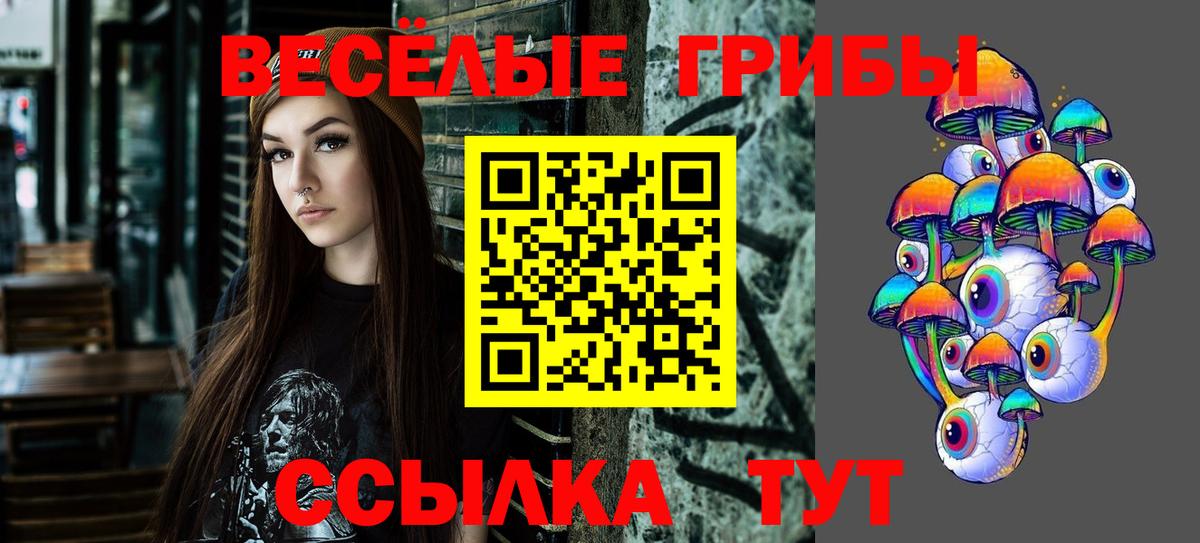 Ижевск  Галлюциногенные грибы мухоморы  купить наркотики цена  Вход с VPN 